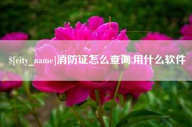 湘潭消防证怎么查询,用什么软件