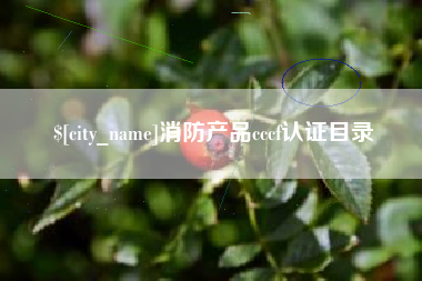 湘潭消防产品cccf认证目录
