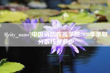 湘潭中国消防救援学院2020年录取分数线是多少