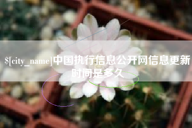 湘潭中国执行信息公开网信息更新时间是多久