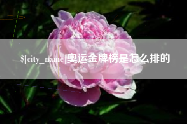 湘潭奥运金牌榜是怎么排的