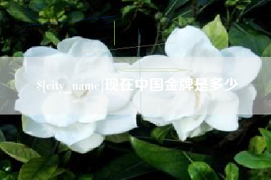 湘潭现在中国金牌是多少