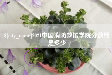 湘潭2021中国消防救援学院分数线是多少