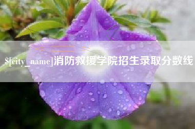 湘潭消防救援学院招生录取分数线