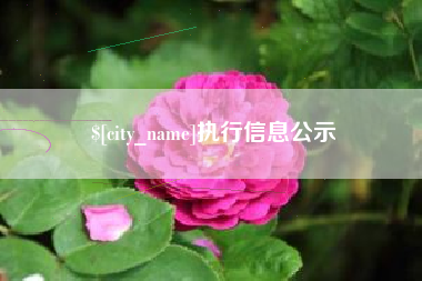 湘潭执行信息公示