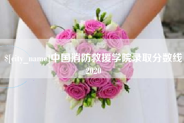 湘潭中国消防救援学院录取分数线2020