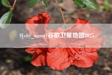 湘潭谷歌卫星地图2025