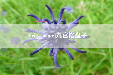 湘潭九宫格盘子