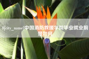 湘潭中国消防救援学院毕业就业前景如何