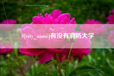 湘潭有没有消防大学