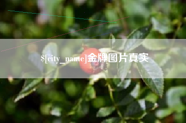 湘潭金牌图片真实