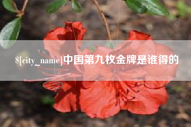 湘潭中国第九枚金牌是谁得的