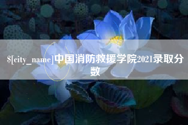湘潭中国消防救援学院2021录取分数