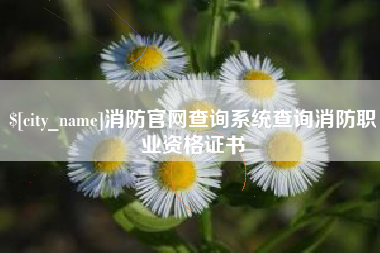 湘潭消防官网查询系统查询消防职业资格证书