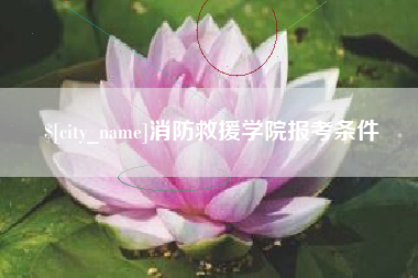 湘潭消防救援学院报考条件