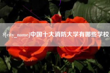 湘潭中国十大消防大学有哪些学校