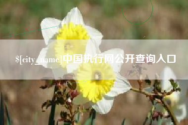 湘潭中国执行网公开查询入口