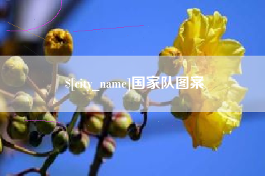 湘潭国家队图案