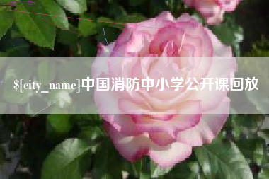 湘潭中国消防中小学公开课回放