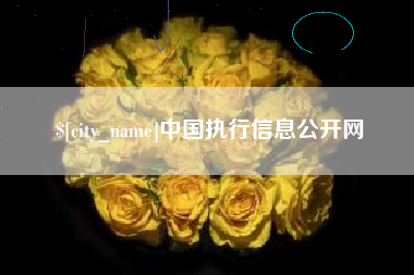 湘潭中国执行信息公开网