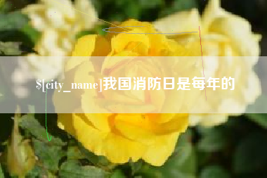 湘潭我国消防日是每年的