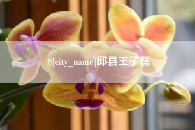 湘潭邱县王子磊