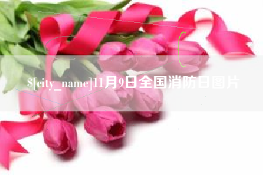 湘潭11月9日全国消防日图片