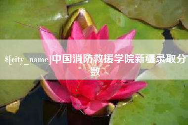 湘潭中国消防救援学院新疆录取分数