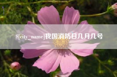 湘潭我国消防日几月几号