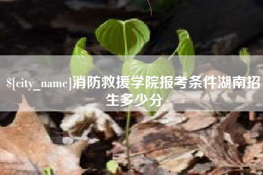 湘潭消防救援学院报考条件湖南招生多少分