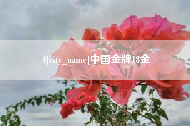 湘潭中国金牌18金