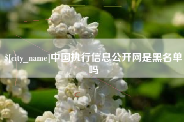 湘潭中国执行信息公开网是黑名单吗