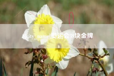 湘潭奥运会39块金牌