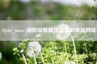 湘潭消防设施操作员证书查询网址