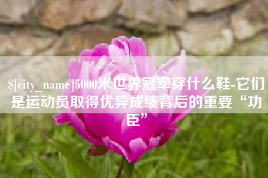 湘潭5000米世界冠军穿什么鞋-它们是运动员取得优异成绩背后的重要“功臣”