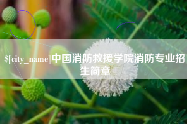 湘潭中国消防救援学院消防专业招生简章