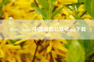 湘潭中国消防公众号app下载