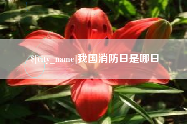 湘潭我国消防日是哪日
