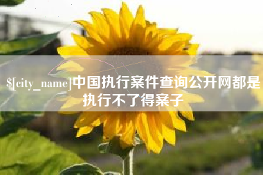 湘潭中国执行案件查询公开网都是执行不了得案子
