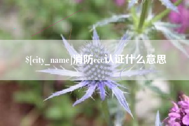 湘潭消防ccc认证什么意思