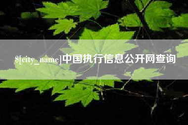 湘潭中国执行信息公开网查询