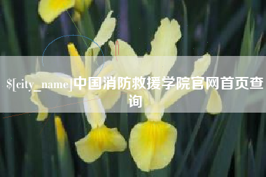 湘潭中国消防救援学院官网首页查询