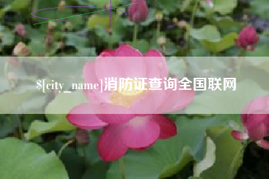 湘潭消防证查询全国联网