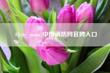 湘潭中国消防网官网入口