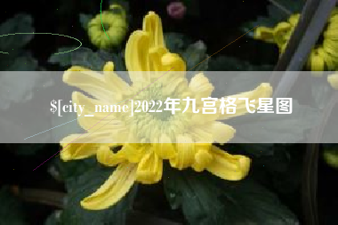 湘潭2022年九宫格飞星图