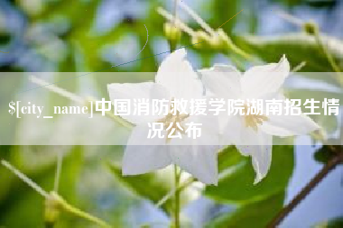 湘潭中国消防救援学院湖南招生情况公布
