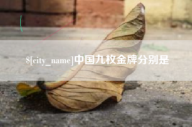 湘潭中国九枚金牌分别是