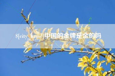 湘潭中国的金牌是金的吗