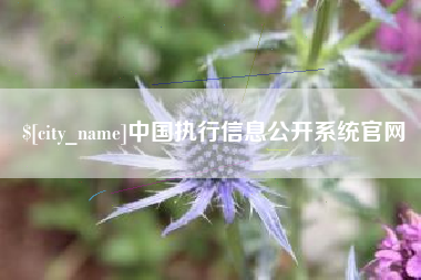 湘潭中国执行信息公开系统官网