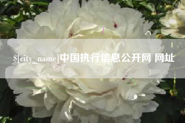 湘潭中国执行信息公开网 网址
